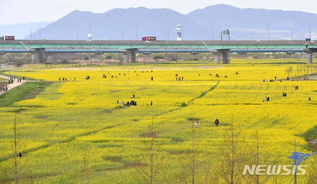 [부산=뉴시스] 작년에는 코로나19 사회적 거리두기로 부산낙동강 유채꽃 축제'가 취소됐지만 일부 시민들은 대저생태공원을 찾아 봄나들이를 즐겼다. 2021.04.01. photo@newsis.com