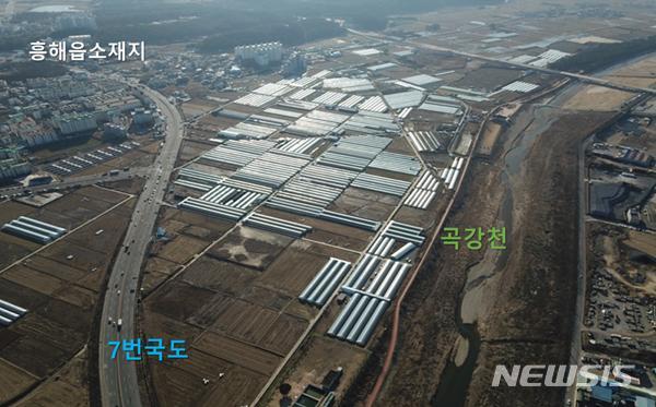 포항, 경북 최초 '스마트 원예단지' 조성한다···48㏊ 