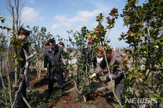 [제주=뉴시스] 제주4·3 유족들이 4·3평화공원에 동백나무를 심고 있다.(사진=제주4·3평화재단 제공)