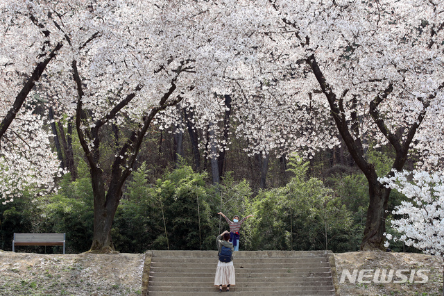 [대구=뉴시스] 이윤청 기자 = 시민들이 2일 대구 수성구 수성못 인근에서 벚꽃 나들이를 즐기고 있다. 2020.04.02. radiohead@newsis.com