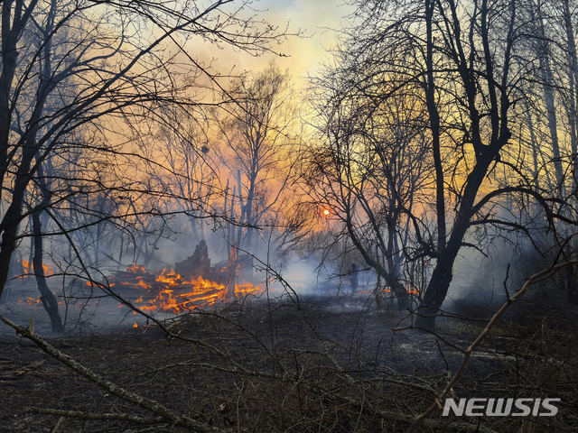 [AP/뉴시스] 우크라이나 체르노발 일대 산불로 5일(현지시간) 볼로디미리프스카 마을 부근 삼림이 불길에 휩싸여있다.   