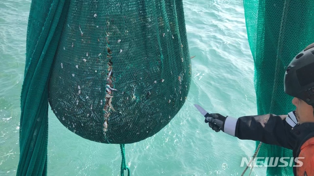 제주지방해양경찰청이 범장망 어구에 담긴 어류를 해상에 방류하고 있다. 