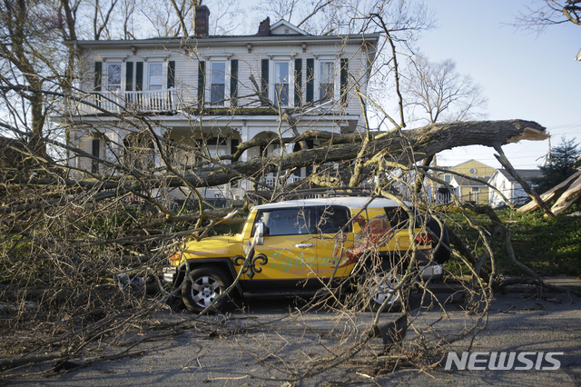 [무어빌( 미 인디애나주)= AP/뉴시스] 인디애나주에 몰아친 연속 강풍 '데레초'로 쓰러진 큰 나무에 깔려있는 차량.  