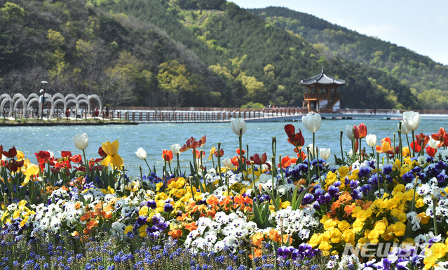 [대구=뉴시스] 이무열 기자 = 화창한 봄 날씨를 보인 22일 오후 대구 달성군 송해공원을 찾은 시민들이 튤립 꽃길을 산책하고 있다. 2020.04.22. lmy@newsis.com