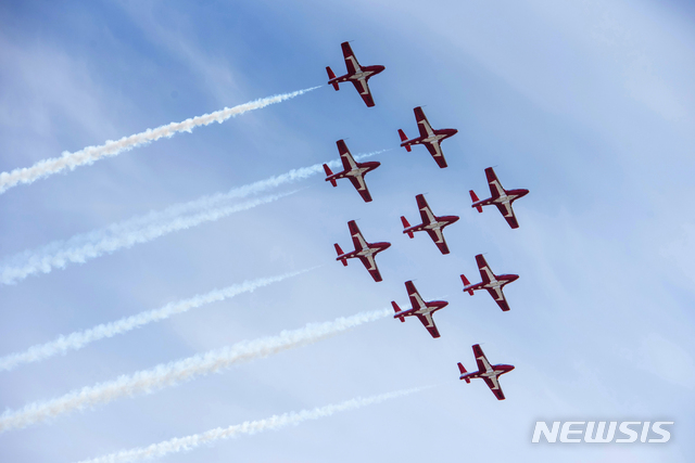 캐나다 공군 스노버드기,  코로나19 응원 비행중 추락