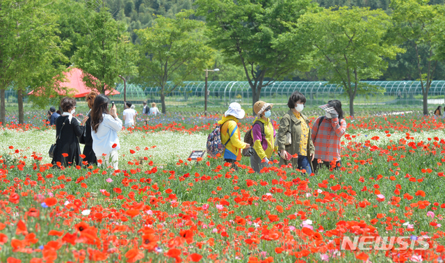 [울산=뉴시스] 배병수 기자 = 8일 오후 울산 중구 태화강국가정원에서 마스크를 착용한 시민들이 ‘생활속 거리두기’를 한 채 활짝 핀 양귀비와 수레국화 등 봄꽃을 감상하고 있다. 2020.05.08. bbs@newsis.com