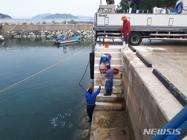 남해군, 미조 해안 등에 볼락 치어 26만마리 방류 