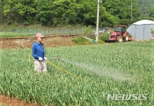 충북 단양군 매포읍 응실리 마늘 밭에 게르마늄을 살포하는 모습.