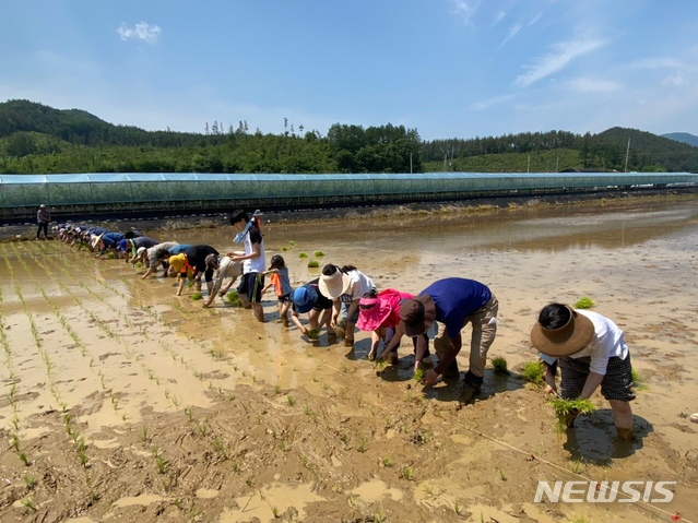 상주농민회 13년째 이어 온 '통일벼 보내기'