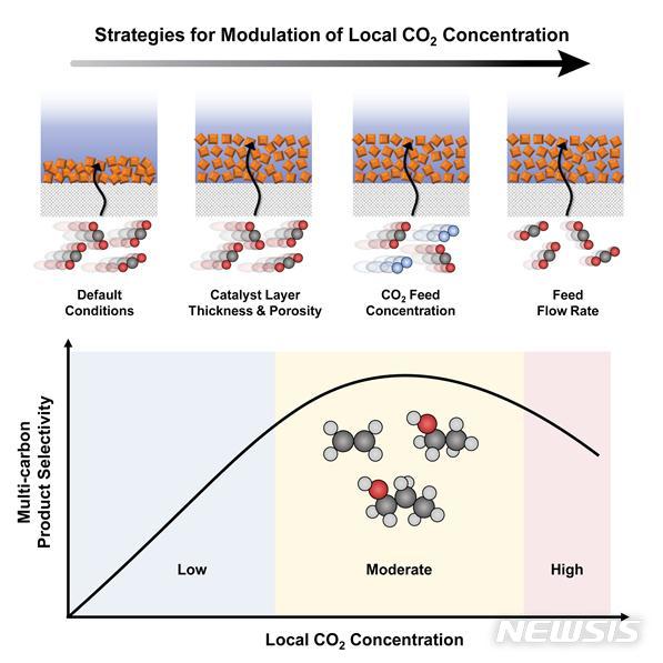 [대전=뉴시스] 촉매 층의 구조, 이산화탄소 공급 농도, 이산화탄소 공급 유량에 따른 촉매 층 내부 이산화탄소 농도 제어방법을 나타내는 모식도(위). 촉매 층 내부 이산화탄소 농도와 다탄소화합물의 선택도 간의 관계를 나타내는 그래프. 