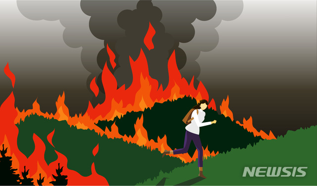 올봄 산불, 피해·건수 모두 감소…산림청 분석