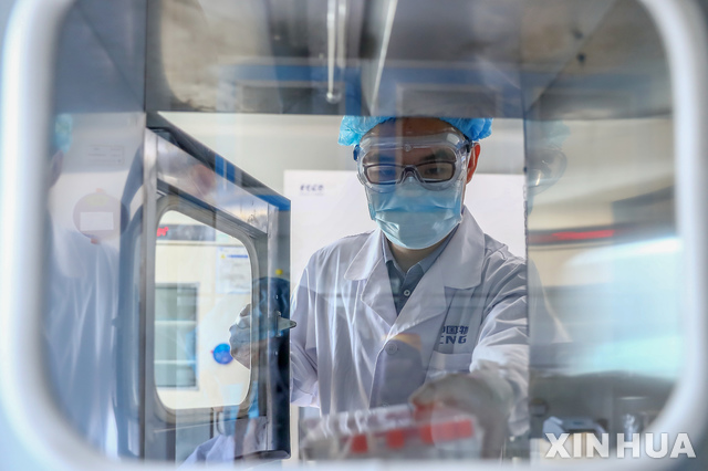 [베이징=신화/뉴시스] 사진은 지난 6월 중국 제약사 시노팜의 한 연구원이 코로나19 백신 연구물질을 살펴보는 모습. 2020.10.01.