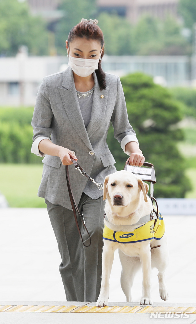 [서울=뉴시스] 김진아 기자 = 김예지 미래통합당 의원과 안내견 조이가 지난 6월18일 서울 여의도 국회 본청 출입구에서 ‘시각장애인 안내견 출입 확산’ 캠페인을 하기 위해 본청으로 향하고 있다. 2020.11.24. bluesoda@newsis.com