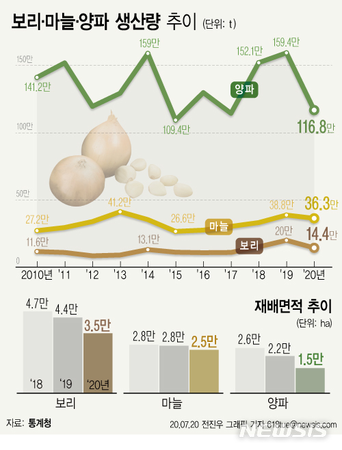 올해 양파·마늘 생산량 급감…"작년 가격폭락 영향"