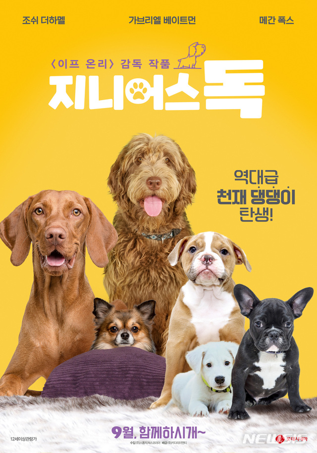 [서울=뉴시스] 영화 '지니어스 독' 티저 포스터. (사진=키다리이엔티 제공)