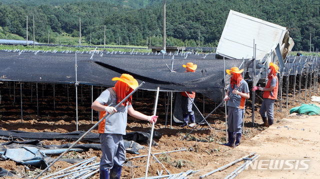 한국타이어, 금산지역 수해복구 봉사활동 진행