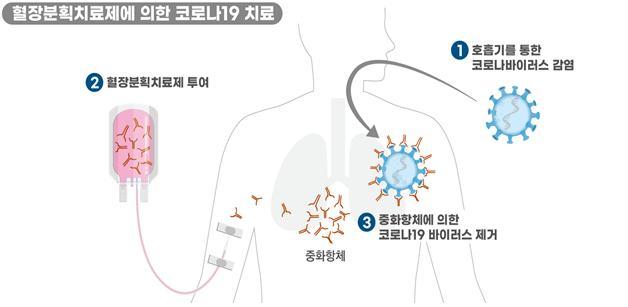 [서울=뉴시스] 혈장분획치료제 작용 원리(사진=식약처 제공) 