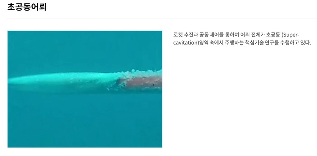 [서울=뉴시스] 초공동어뢰. 2020.09.04. (사진=국방과학연구소 누리집 캡처)