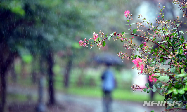 [광주=뉴시스] 가을비 내리는 광주. (사진=뉴시스 DB). photo@newsis.com