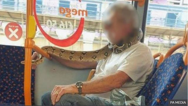 [서울=뉴시스]한 영국 남성이 지난 14일 마스크 대신 뱀으로 자신의 얼굴을 가리고 버스에 탑승해 사람들을 놀라게 했다고 BBC가 16일(현지시간) 보도했다. <사진 출처 : 英 BBC> 2020.9.17