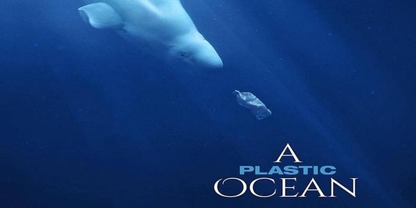 [서울=뉴시스] 최태원 SK 회장이 추천한 다큐멘터리 플라스틱 바다(A plastic ocean).