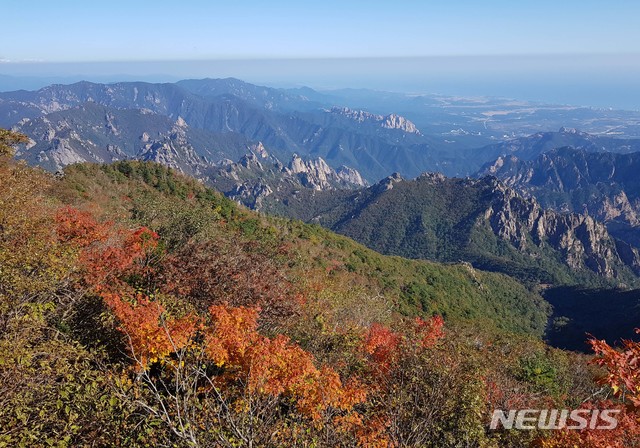 [서울=뉴시스]지난 28일 강원도 속초시 설악산국립공원 고지대에 단풍이 물들고 있다. (사진=설악산국립공원사무소 제공) 2020.09.28. photo@newsis.com