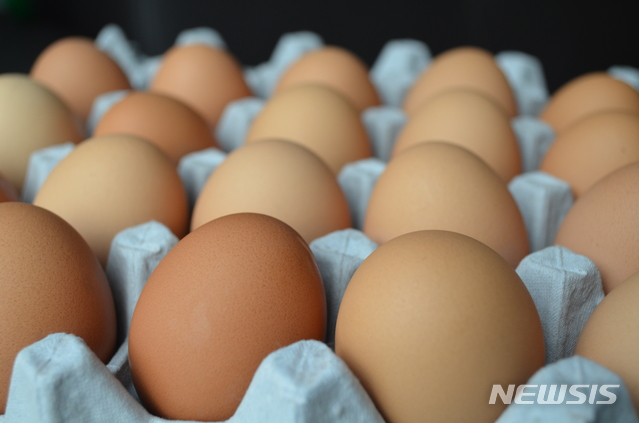 [서울=뉴시스] 돌 무렵에 계란을 자주 먹으면 6세가 된 후 계란 알레르기 위험을 줄일 수 있다는 해외 연구 결과가 나왔다. 지금까지는 계란 알레르기를 예방하기 위해 2∼3세 때까지 계란을 섭취하지 말 것을 권장했다. (사진=뉴시스DB) photo@newsis.com. 