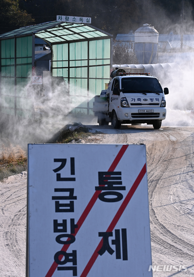 전북 고창 오리농장 고병원성AI 의심 신고…검사결과 '음성'(종합)