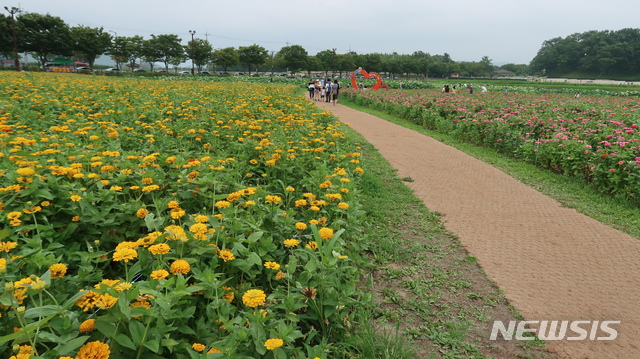 경주 첨성대 일원 꽃단지 