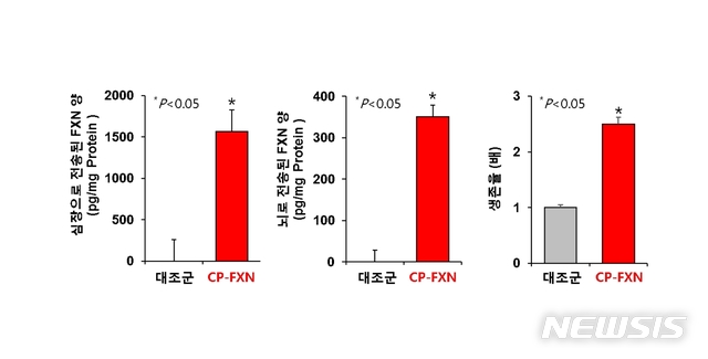 프리드리히 운동실조증 유발 형질전환동물에서 CP-FXN 투여 후 심장과 뇌로 전송된 CP-FXN 양(투여후 6시간)과 그에 따른 생존율 증가(2.5배) 효능를 나타낸 그래프(자료=셀리버리 제공)