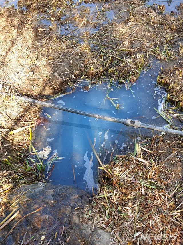[대구=뉴시스]김정화 기자 = 유해성 물질이 포함된 파란색 물이 대구 수성못에서 발견, 수성구청이 인근 호텔을 고발했다. (사진 = 대구시 수성구청 제공) 2020.11.27. photo@newsis.com