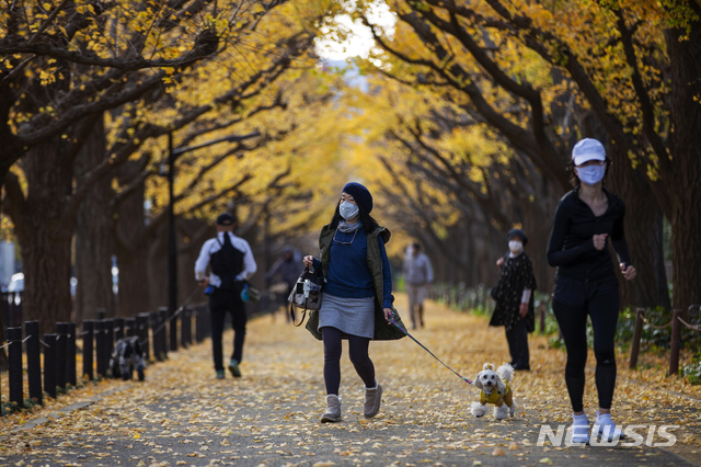 [도쿄=AP/뉴시스]지난달 27일 일본 도쿄에서 코로나19 확산 방지를 위해 마스크를 쓴 사람들이 노란 은행잎이 떨어진 산책로를 걷고 있다. 2020.11.27.