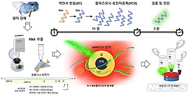 [대전=뉴시스] 나노PCR 기술을 이용한 코로나 바이러스 진단 과정.