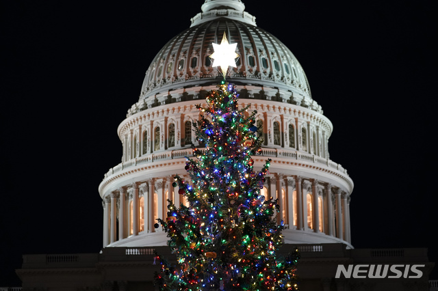 [워싱턴=AP/뉴시스] 2일(현지시간) 미국 워싱턴에 있는 의회 의사당 크리스마스 트리에 불이 들어온 모습. 2020.12.21. 