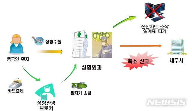 [세종=뉴시스] 국세청이 6일 공개한 조세포탈범 사례. (그림=국세청 제공)