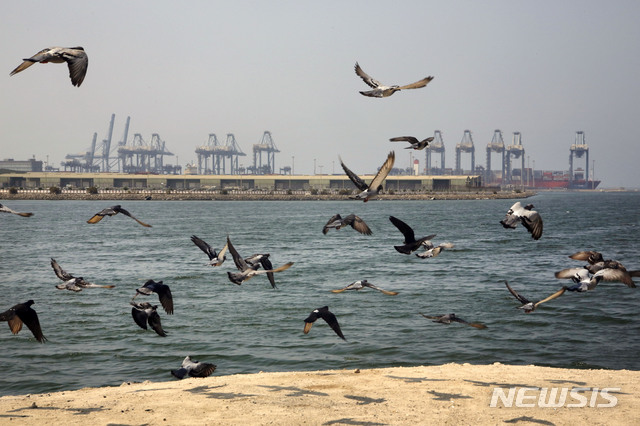 [제다(사우디아라비아)=AP/뉴시스]2019년 10월11일 갈매기들이 사우디아라비아의 홍해 항구 지다 바다 위를 날고 있다. 사우디아라비아의 제다항 앞바다에서 14일 아침(현지시간) 유조선 한 척이 외부로부터 공격을 받아 폭발했다고 BW 해운회사가 밝혔다. 2020.12.14