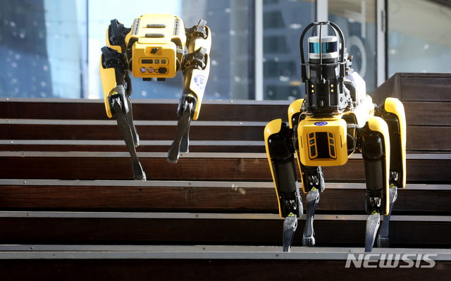 [고양=뉴시스]김명원 기자 = 현대자동차그룹이 최근 '로봇개'로 유명한 미국의 로봇업체 ‘보스턴 다이내믹스’를 인수하기로 한 가운데 16일 경기 고양시 현대모터스튜디오 고양에서 현대차 로봇 개 '스폿' 시연 행사를 가졌다. 2020.12.18. kmx1105@newsis.com