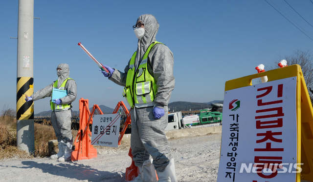 [정읍=뉴시스] 김얼 기자 = 전북 정읍시의 한 농가의 오리가 조류인플루엔자(AI) 중앙사고수습본부의 검사 중 AI 의심사례로 확인된 28일 오리농장 입구에서 관계자들이 일대를 통제하고 있다. 2020.12.28. pmkeul@newsis.com