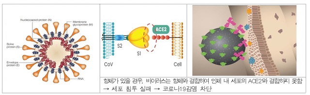 [서울=뉴시스] 사진=셀트리온 제공 