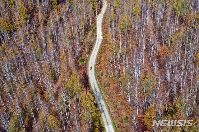 경북도 "숲을 관광자원으로"…기반 시설 확충 나선다