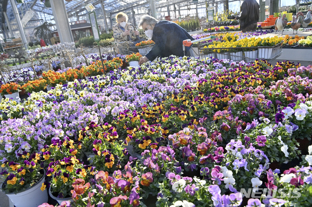 [뮌헨-AP/뉴시스] 독일 남부 바이에른주 주도에서 꽃집이 1일 두달 여 만에 문을 열자 사람들이 꽃을 사가고 있다 