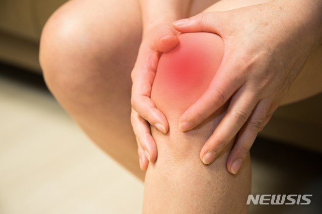 "근감소증, 노화 아닌 질환"…치료제 개발 나선 '이 회사' - 뉴스 썸네일 이미지