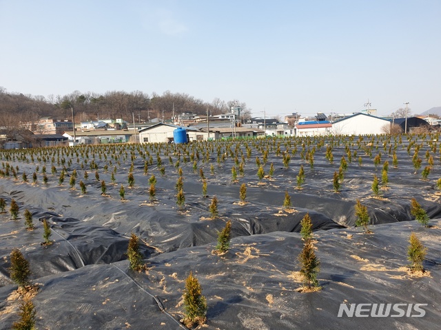 시흥 신도시 예정지 주민들 LH 직원 땅 투기 의혹 강력 비난