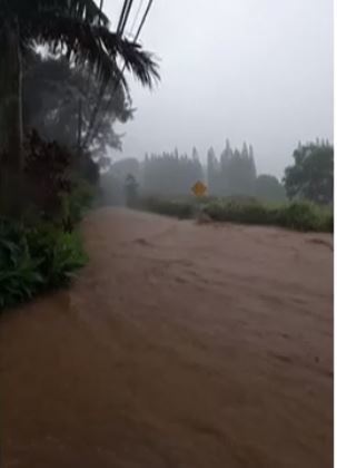 [서울=뉴시스]폭우로 카우파칼루아 댐이 범람하면서 홍수가 발생한 미 하와이 마우이섬의 모습. 댐이 범람하면서 인근 주민들이 대피하고 있다. <사진 출처 : 하와이 뉴스닷컴> 2021.3.9