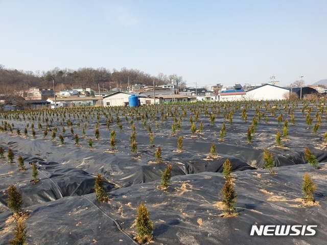 시흥시 과림동 땅 투기 의혹 현장. 