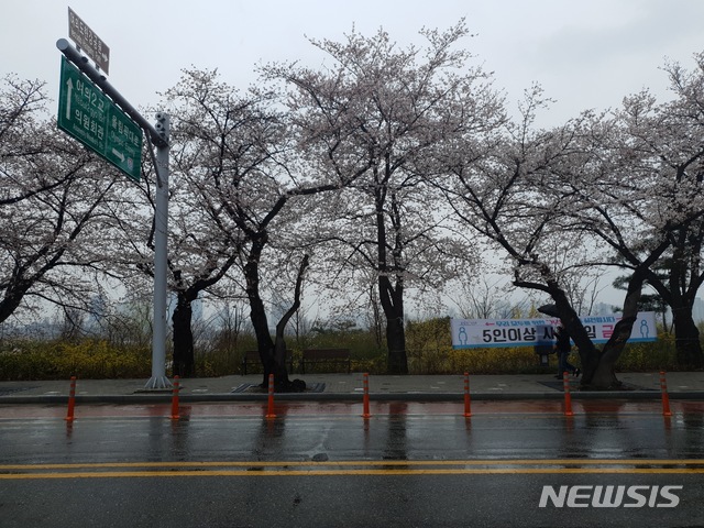 [서울=뉴시스]이윤희 기자 = 27일 찾은 서울 영등포구 여의도 윤중로의 모습. 