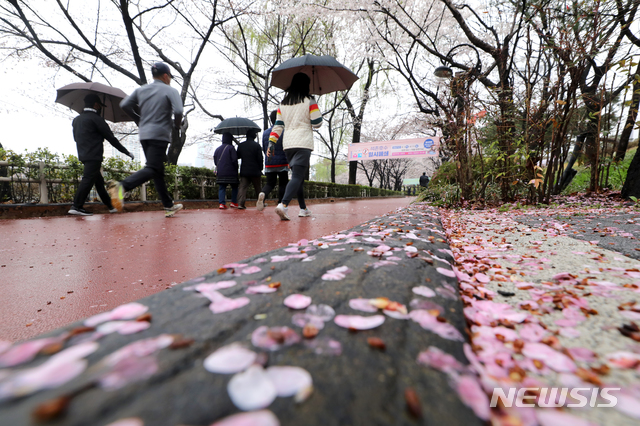 [서울=뉴시스]이윤청 기자 = 비가 내리고 있는 28일 오전 서울 송파구 석촌호수에 벚꽃이 떨어져 있다. 2021.03.28. radiohead@newsis.com