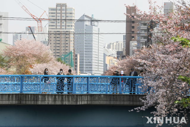 [도쿄=신화/뉴시스] 일본 수도 도쿄 시내에서 1일 코로나19 예방을 위해 마스크를 착용한 시민들이 다리 주변에 흐트러지게 핀 벚꽃을 구경하고 있다. 2020.04.04 