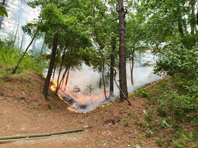 8일 오후 5시 31분께 대전 유성구 계산동 인근 야산에서 산불이 발생해 50여분 만에 진화됐다.(사진=산림청 제공) *재판매 및 DB 금지