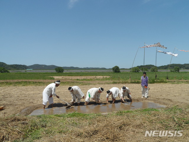 [창원=뉴시스] 경남 함안농요 보존회의 못자리 만들기 시연.(사진=경남도 제공) 2021.05.12. photo@newsis.com